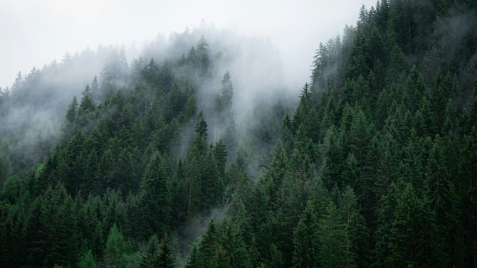 Most Secluded Cabins Near Beavers Bend: Top Picks for Privacy & Unplugging in McCurtain County