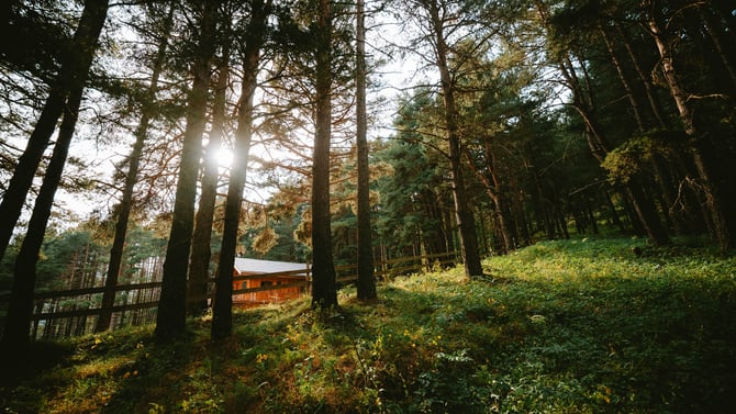 Broken Bow Cabin Rental Pricing by Size: 1BR, 2BR, & Large Group Rates Compared
